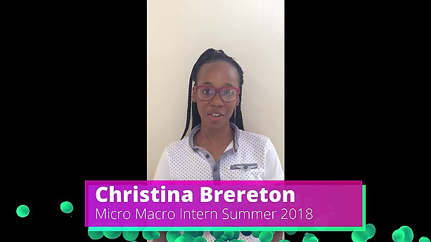 Christina Brereton Micro Macro 2018